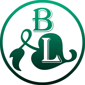 BL s.r.l.
